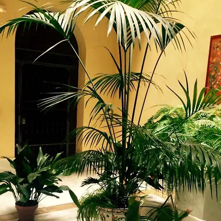Apartamento Aparturistic ático Plaza Del Museo Sevilha